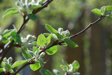 Similar image 21113277