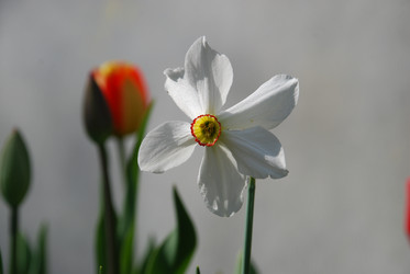 Similar image 21113279