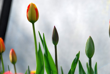 Similar image 21113285