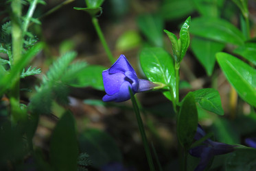 Similar image 21113287