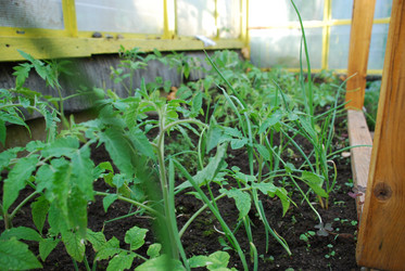 Similar image 21113288