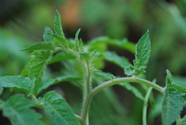 Similar image 21113289