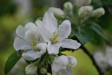 Similar image 21113290