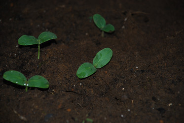 Similar image 21113291