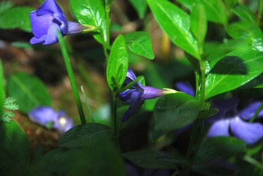 Similar image 21113292