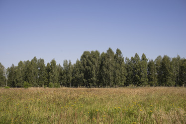 Similar image 21096479