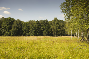 Similar image 21096480