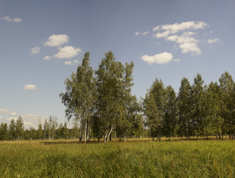 Similar image 21096481