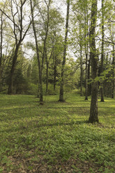 Similar image 21096482