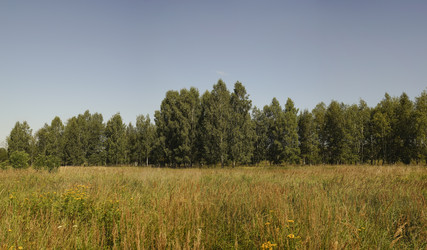 Similar image 21096483