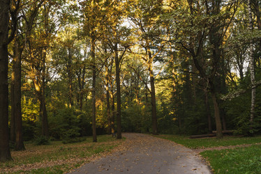 Similar image 21096485