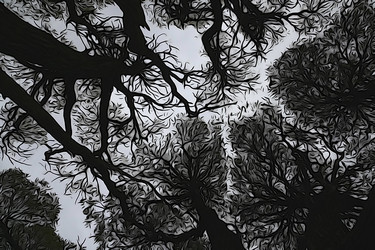 Similar image 21096490