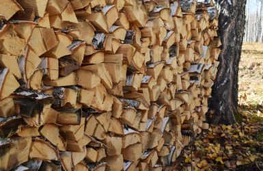 Similar image 21104565