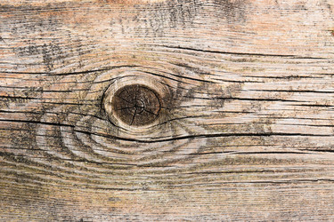 Similar image 21104566