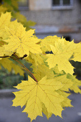 Similar image 21105157