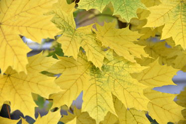 Similar image 21105158