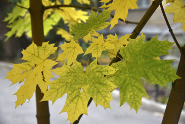 Similar image 21105159