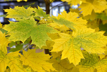 Similar image 21105160