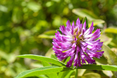 Similar image 21105163