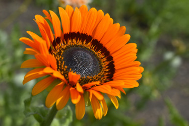 Similar image 21105165