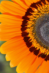 Similar image 21105167