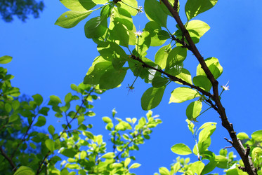 Similar image 21116508