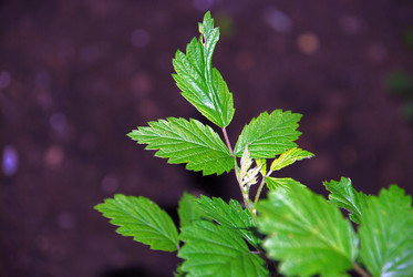 Similar image 21116510