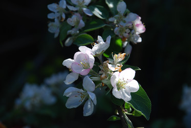 Similar image 21116515