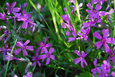 Similar image 21116516