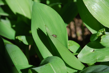 Similar image 21116518