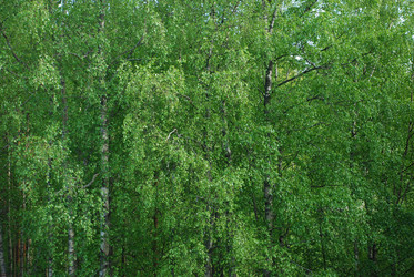 Similar image 21116520