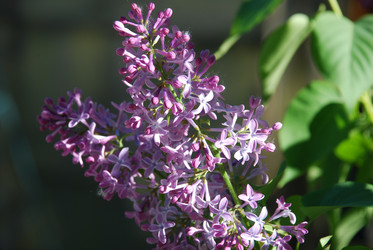 Similar image 21116521