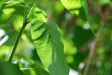 Similar image 21116523