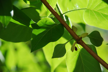 Similar image 21116524