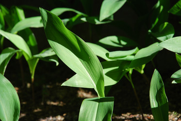 Similar image 21116528