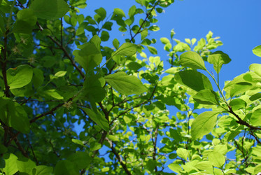 Similar image 21116529