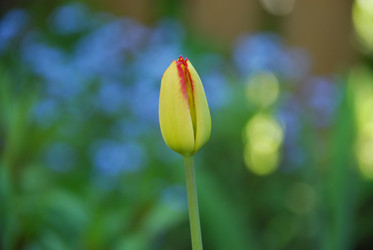 Similar image 21116530