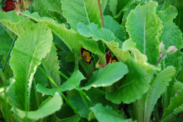 Similar image 21116531