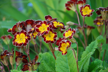 Similar image 21116532