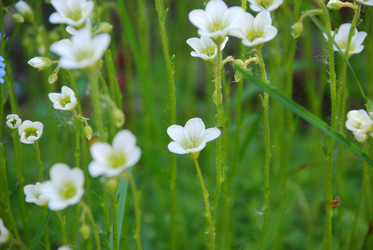 Similar image 21116534