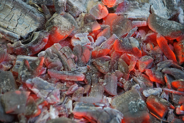 Similar image 21116535