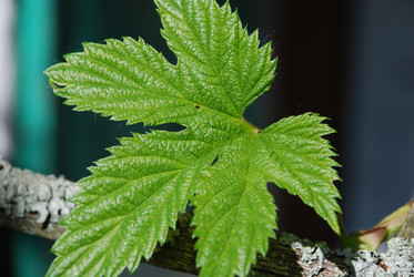 Similar image 21116537