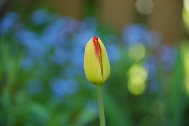 Similar image 21116538