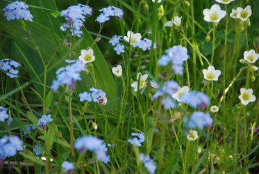 Similar image 21116539