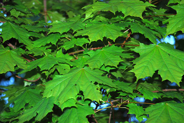 Similar image 21116542