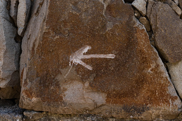 Similar image 21099066