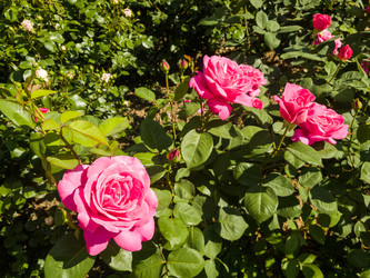 Similar image 21097445