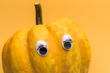 Similar image 21097448