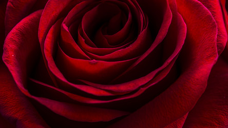 Similar image 21097451