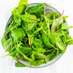 Similar image 21097454